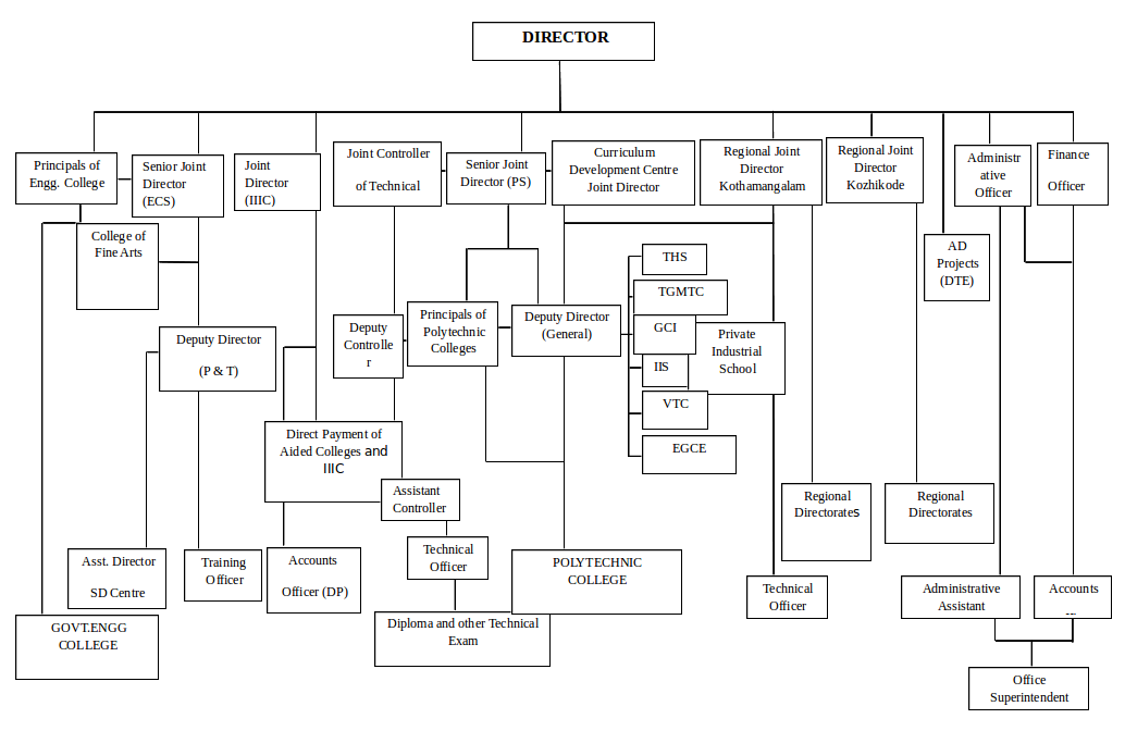 Organization Structure